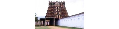 095. திருக்குளந்தை (பெருங்குளம்)